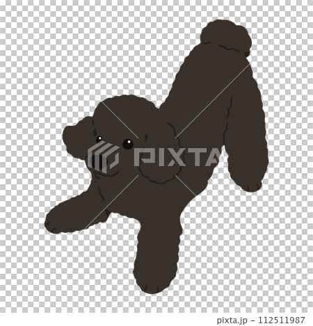A hand-drawn illustration of a simple and cute black poodle that invites you to play.No main lines. A hand-drawn illustration of a simple and cute black poodle that invites you to play.No main lines. 112511987