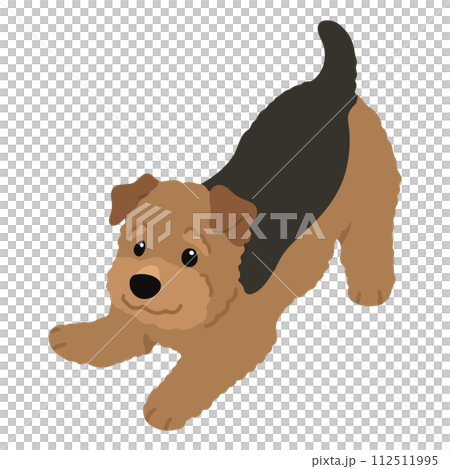 A simple and cute hand-drawn illustration of a Welsh terrier that invites you to play.No main lines. 112511995