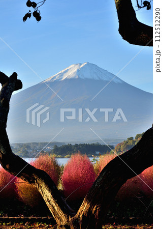 富士山 112512290
