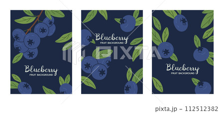 Hand drawn blueberries posters. Blueberry with leaves, delicious blueberries flat vector background illustration set. Juicy blueberry backdrops 112512382