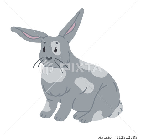 Hand drawn spring bunny. Cute Easter rabbit, fluffy bunny character, little Easter hare flat vector illustration. Spring Easter holiday rabbit Hand drawn spring bunny. Cute Easter rabbit, fluffy bunny character, little Easter hare flat vector illustration. Spring Easter holiday rabbit 112512385