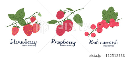 Ripe berries. Hand drawn strawberries, raspberries and red currants, forest or garden fresh berries flat vector illustration set. Edible berries with captions 112512388