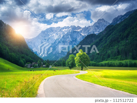 Alone trees and road in alpine mountains, green meadows at sunset Alone trees and road in alpine mountains, green meadows at sunset 112512722