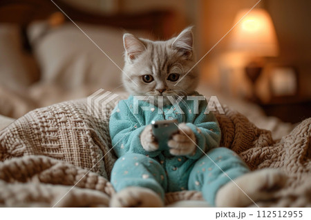 Cute cat in pyjamas with mobile phone  112512955