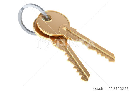 Two Keys on a keyring, 3D rendering Two Keys on a keyring, 3D rendering 112513238