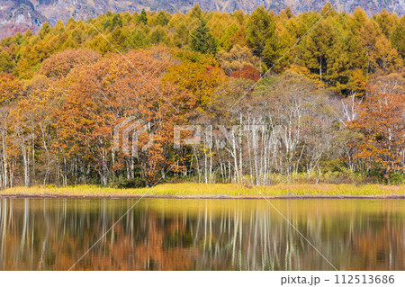 秋の長野 紅葉見頃の戸隠 小鳥ヶ池 秋の長野 紅葉見頃の戸隠 小鳥ヶ池 112513686