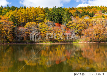 秋の長野　紅葉見頃の戸隠　小鳥ヶ池 112513691
