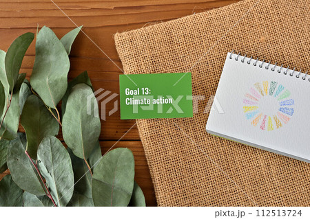 SDGsのゴール、Goal 13:Climate action SDGsのゴール、Goal 13:Climate action 112513724