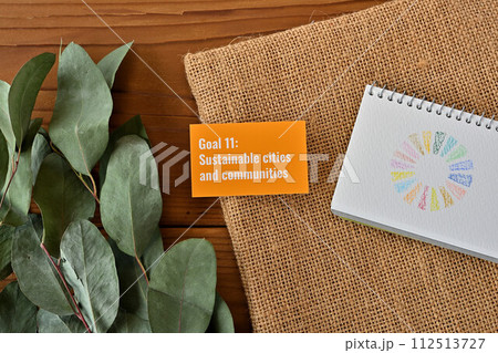Goal 11:Sustainable cities and communities Goal 11:Sustainable cities and communities 112513727