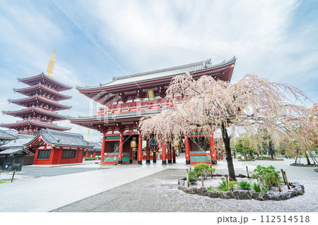 「東京都」春の浅草寺 宝蔵門と五重塔の風景 112514518