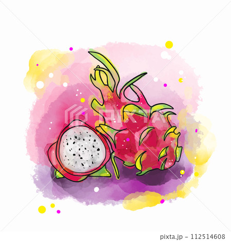 Set of fruits in watercolor technique 112514608