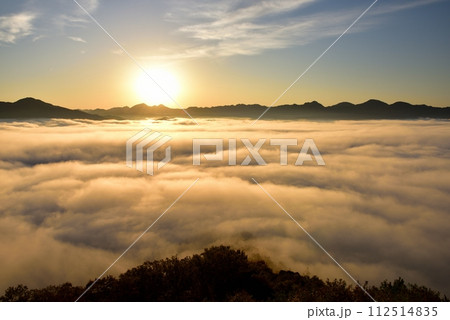 黒井城跡からの篠山盆地の丹波霧（雲海） 112514835