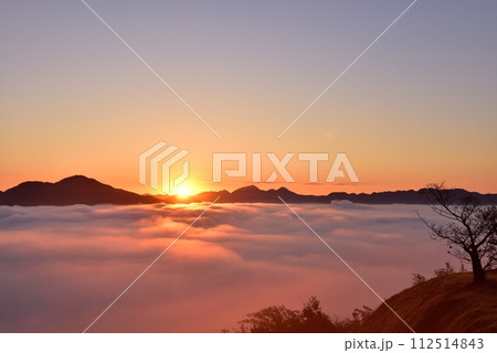 黒井城跡からの篠山盆地の丹波霧（雲海） 112514843