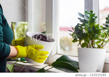 Woman in yellow rubber gloves is gardening. 112515193