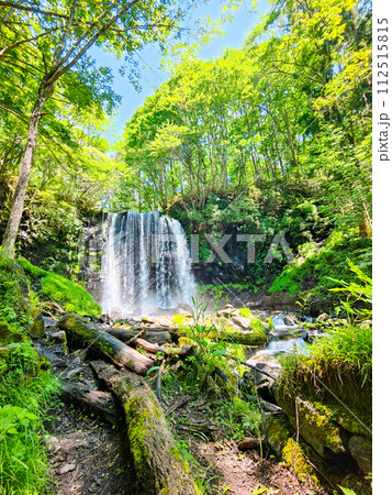 唐沢の滝（上田市菅平） 112515815