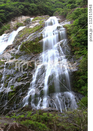 屋久島 大川の滝 屋久島 大川の滝 112515848
