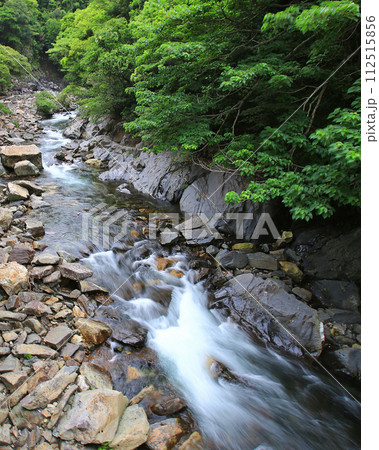 屋久島 大川の滝 屋久島 大川の滝 112515856