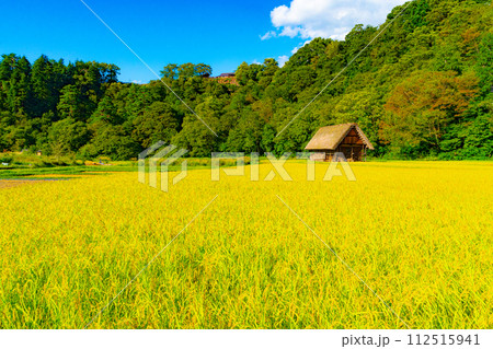白川郷合掌造り集落 白川郷合掌造り集落 112515941