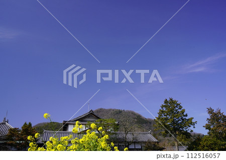 二上山を借景に 菜の花畑と青い空 二上山を借景に 菜の花畑と青い空 112516057