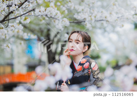 着物 袴　桜　　 112516065