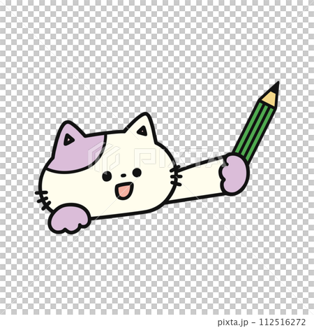 鉛筆を持ったかわいい猫 112516272