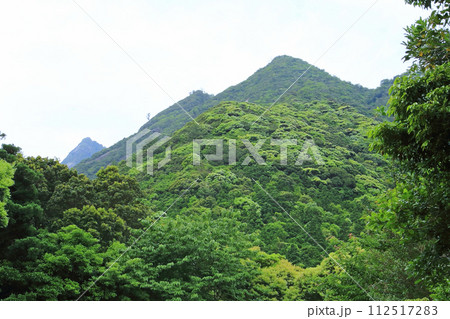 屋久島 千尋の滝 屋久島 千尋の滝 112517283