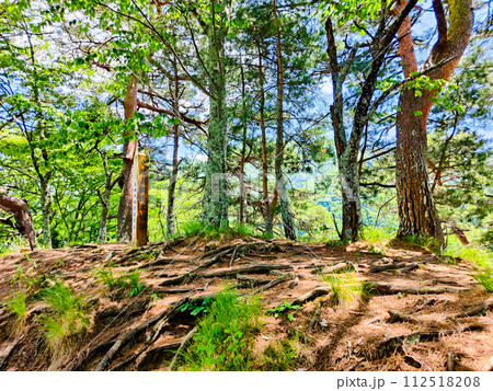 真田氏本城跡 112518208