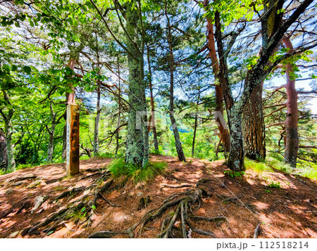 真田氏本城跡 真田氏本城跡 112518214