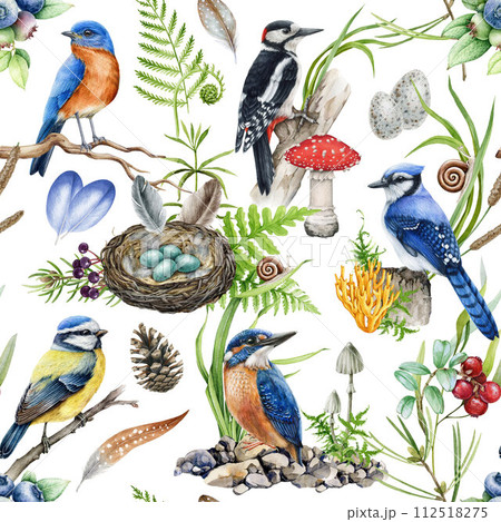 Forest birds with natural elements seamless pattern. Hand drawn woodpecker, jay, kingfisher, blue tit with forest natural elements, mushrooms and greens. Wildlife nature seamless pattern with birds 112518275