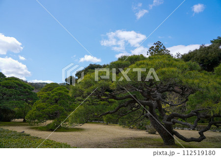 伊勢神宮 風景 景色 伊勢神宮 風景 景色 112519180