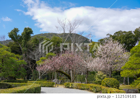 伊勢神宮 風景 景色 伊勢神宮 風景 景色 112519185