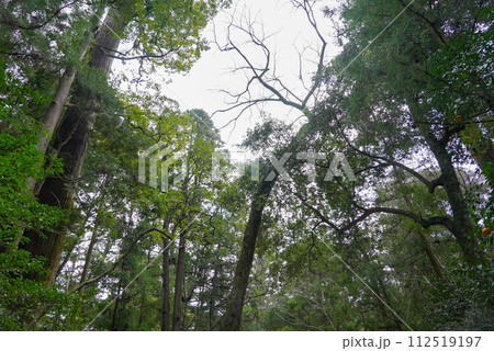 伊勢神宮 風景 景色 伊勢神宮 風景 景色 112519197