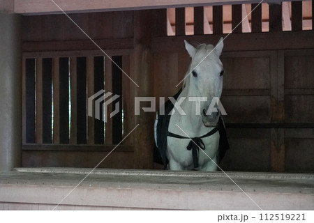 伊勢神宮 風景 景色 112519221