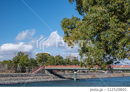 春の宇治川風景 112520601