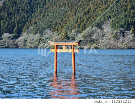 九頭竜神社水中鳥居 九頭竜神社水中鳥居 112521213