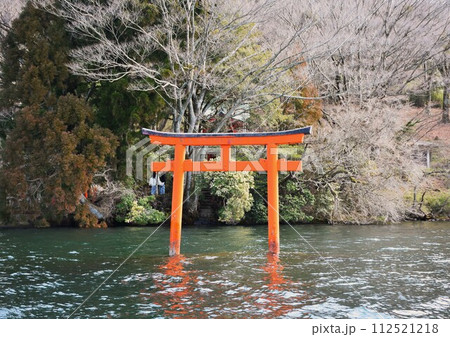 箱根神社水中鳥居 112521218
