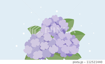 紫陽花のベクターイラスト 紫陽花のベクターイラスト 112521440