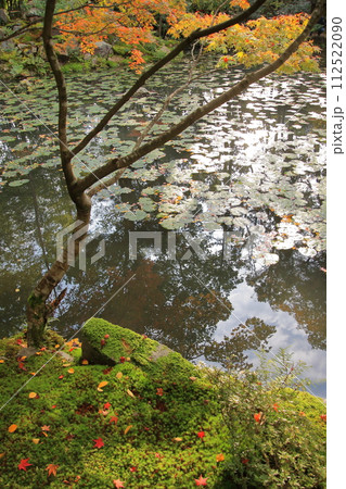 京都の紅葉 南禅寺 天授庵 京都の紅葉 南禅寺 天授庵 112522090