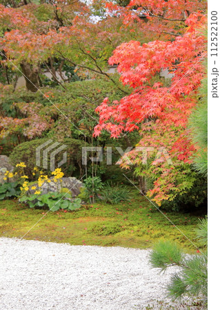 京都の紅葉 南禅寺 天授庵 京都の紅葉 南禅寺 天授庵 112522100