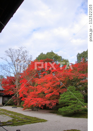 京都の紅葉 南禅寺 天授庵 京都の紅葉 南禅寺 天授庵 112522103