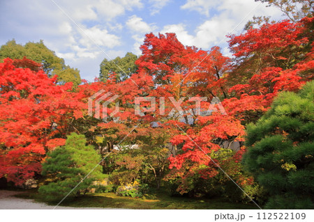 京都の紅葉　南禅寺　天授庵 112522109