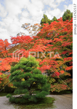 京都の紅葉　南禅寺　天授庵 112522117