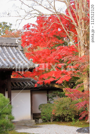 京都の紅葉 南禅寺 天授庵 京都の紅葉 南禅寺 天授庵 112522120