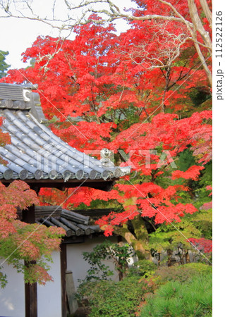 京都の紅葉　南禅寺　天授庵 112522126