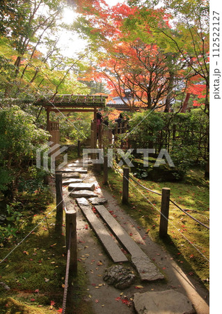 京都の紅葉　南禅寺　天授庵 112522127