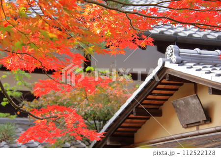京都の紅葉　南禅寺　天授庵 112522128