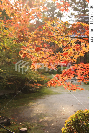 京都の紅葉 南禅寺 天授庵 京都の紅葉 南禅寺 天授庵 112522130