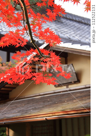 京都の紅葉　南禅寺　天授庵 112522131