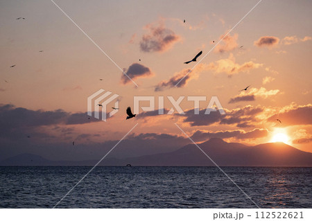 根室海峡の大鷲達 112522621