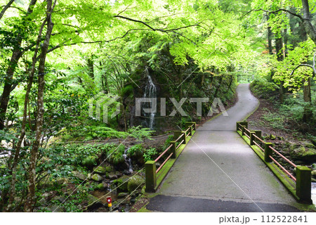 花園神社 2023-6-25 #15 花園神社 2023-6-25 #15 112522841